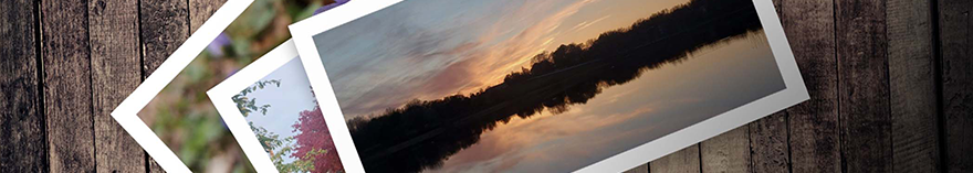 Bilder